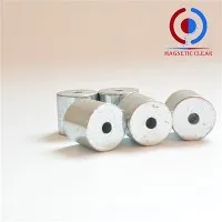 Neodīma magnētu draiveri