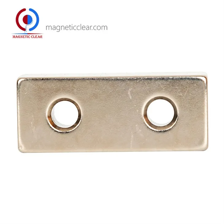 Pielāgoti Alnico magnēti